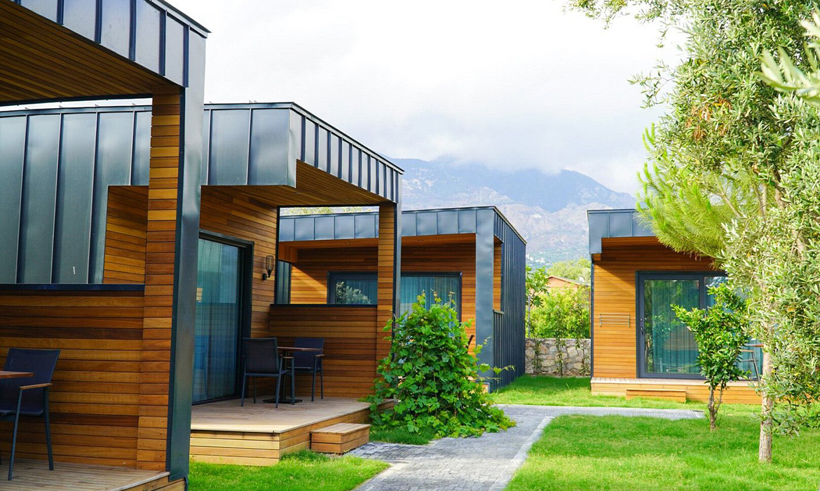 thermowood ayous cladding